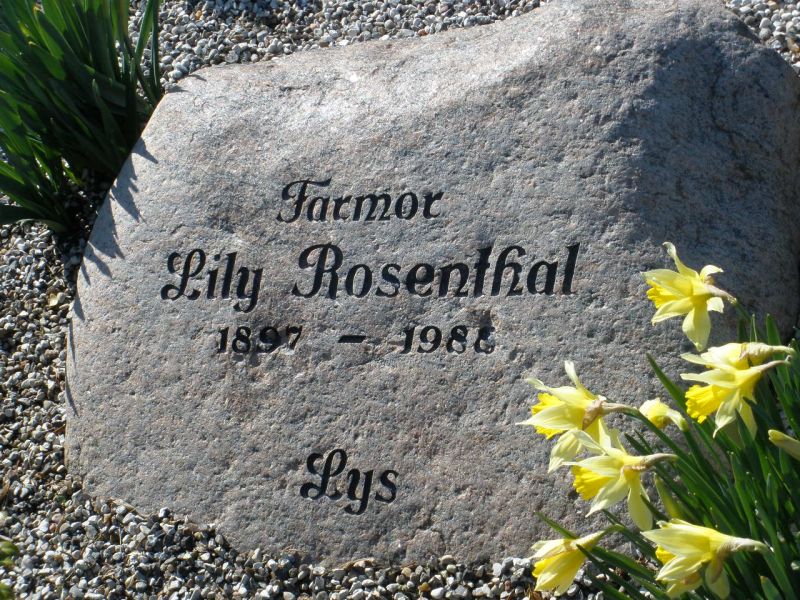 Lily Rosenthal.JPG